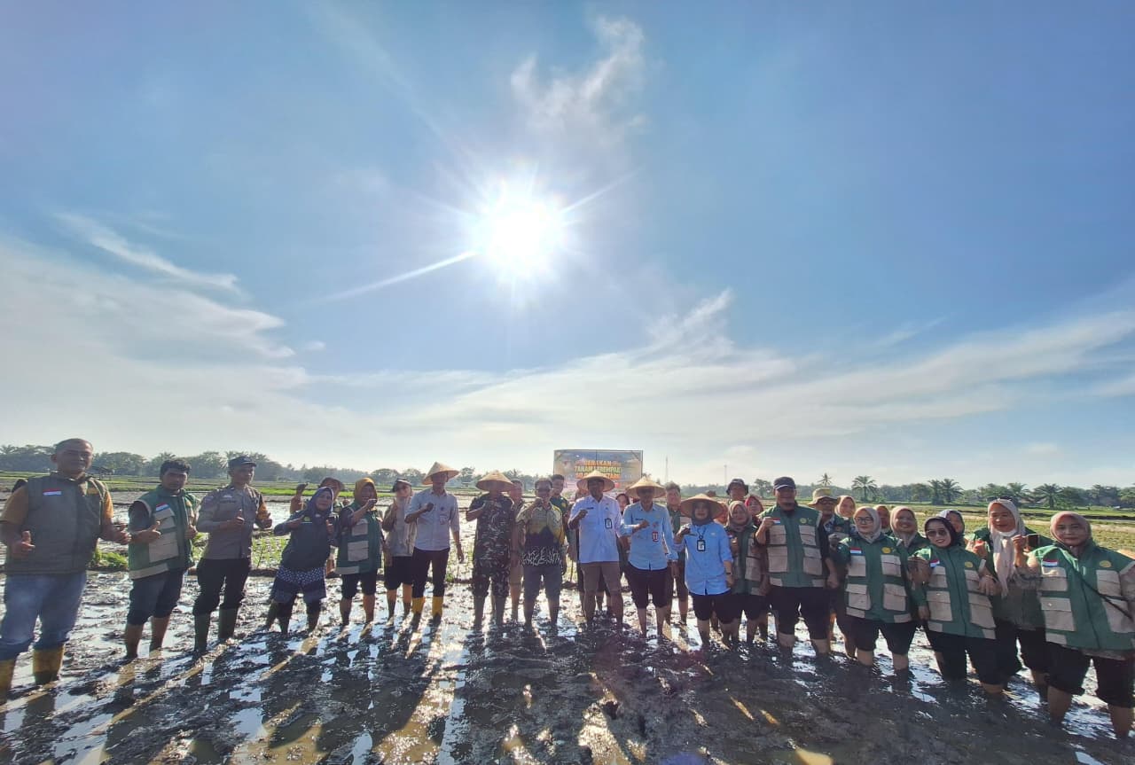 Gerakan Tanam Serempak di Desa Aek Haruaya, Kecamatan Portibi